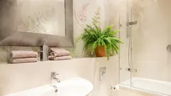 Plante de interior care pot ajuta la combaterea umidității ridicate din apartament